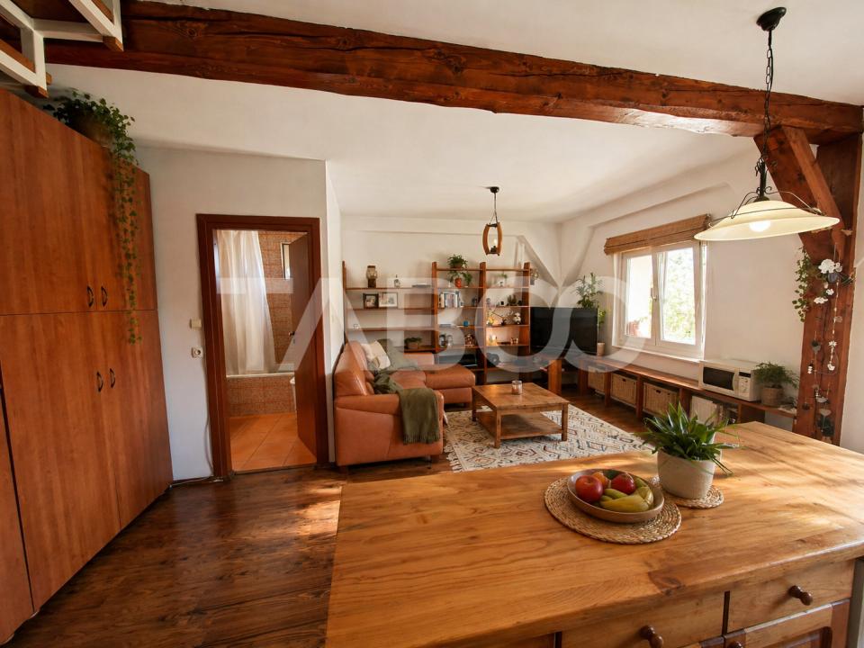 Apartament 2 camere si balcon intabulat in zona Terezian Sibiu in Sibiu - Constantin Nottara