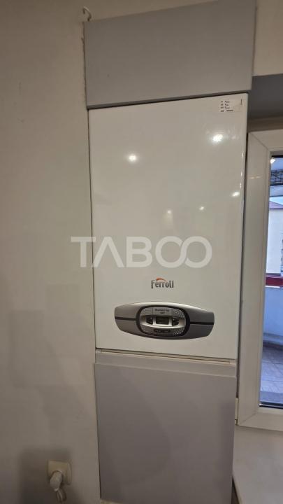 Apartament 4 camere de vanzare in Sebes Valea Frumoasei