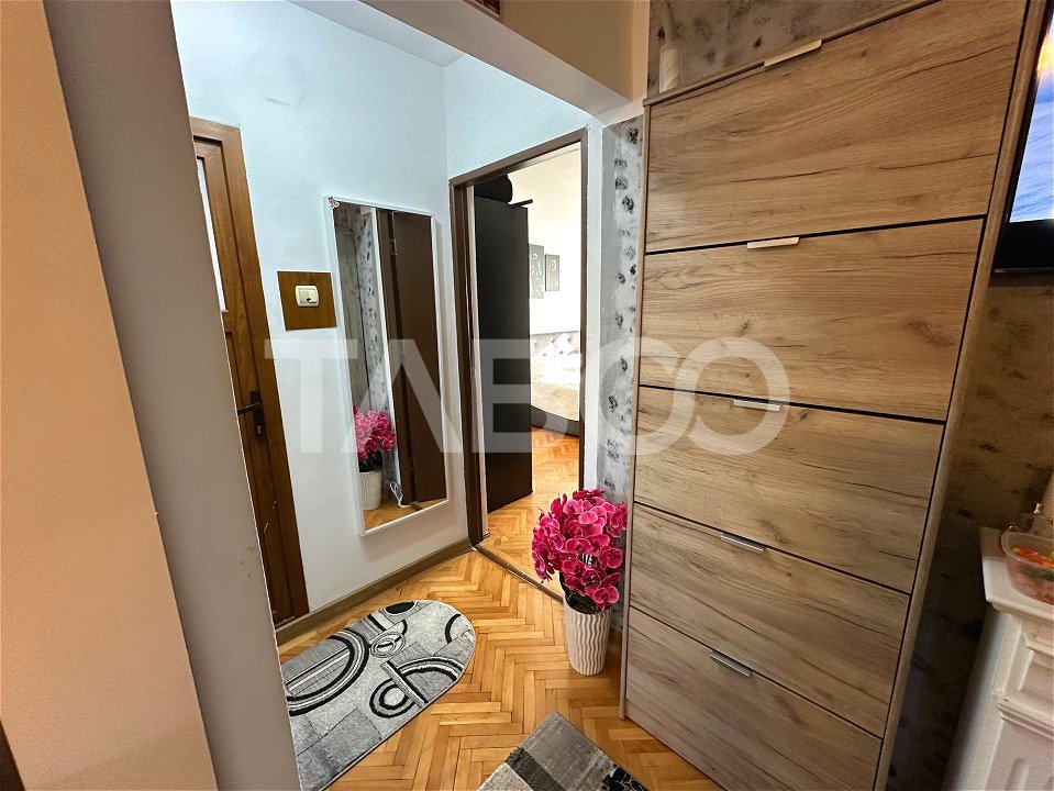 Apartament cochet, complet mobilat de 2 camere Terezian 