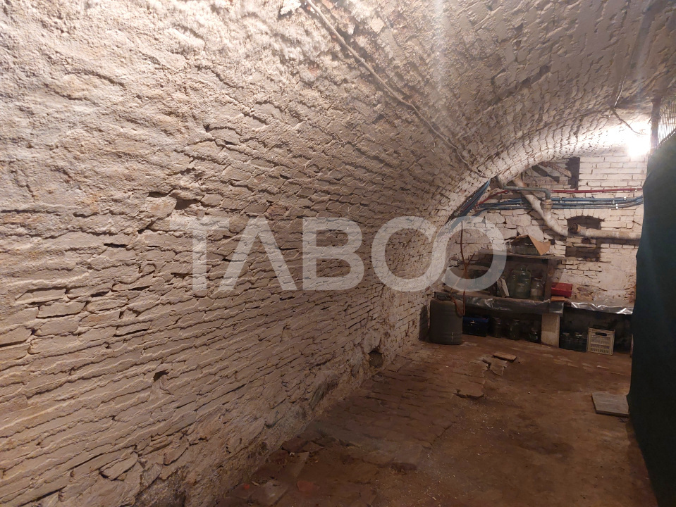 Apartament la casa 52 mp 2 camere terasa pivnita central Cisnadie