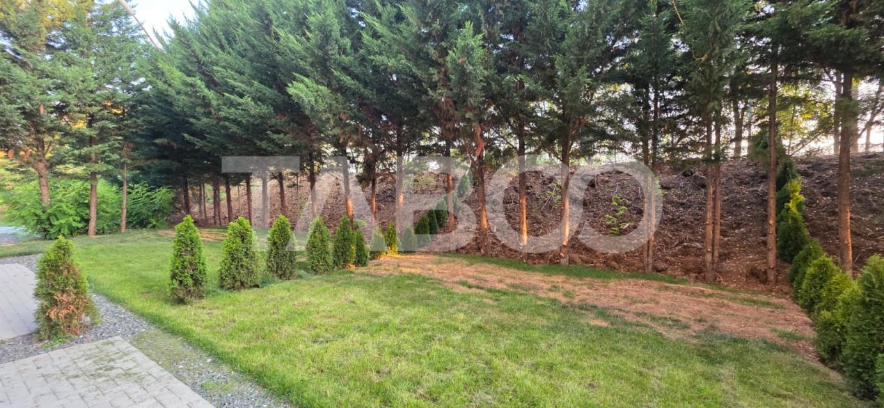 Apartamente de vanzare langa padure priveliste spre munti si liniste
